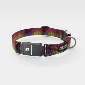 Fi GPS Included Jammin Dragon Skin Everyday Collar (6 month subscription)