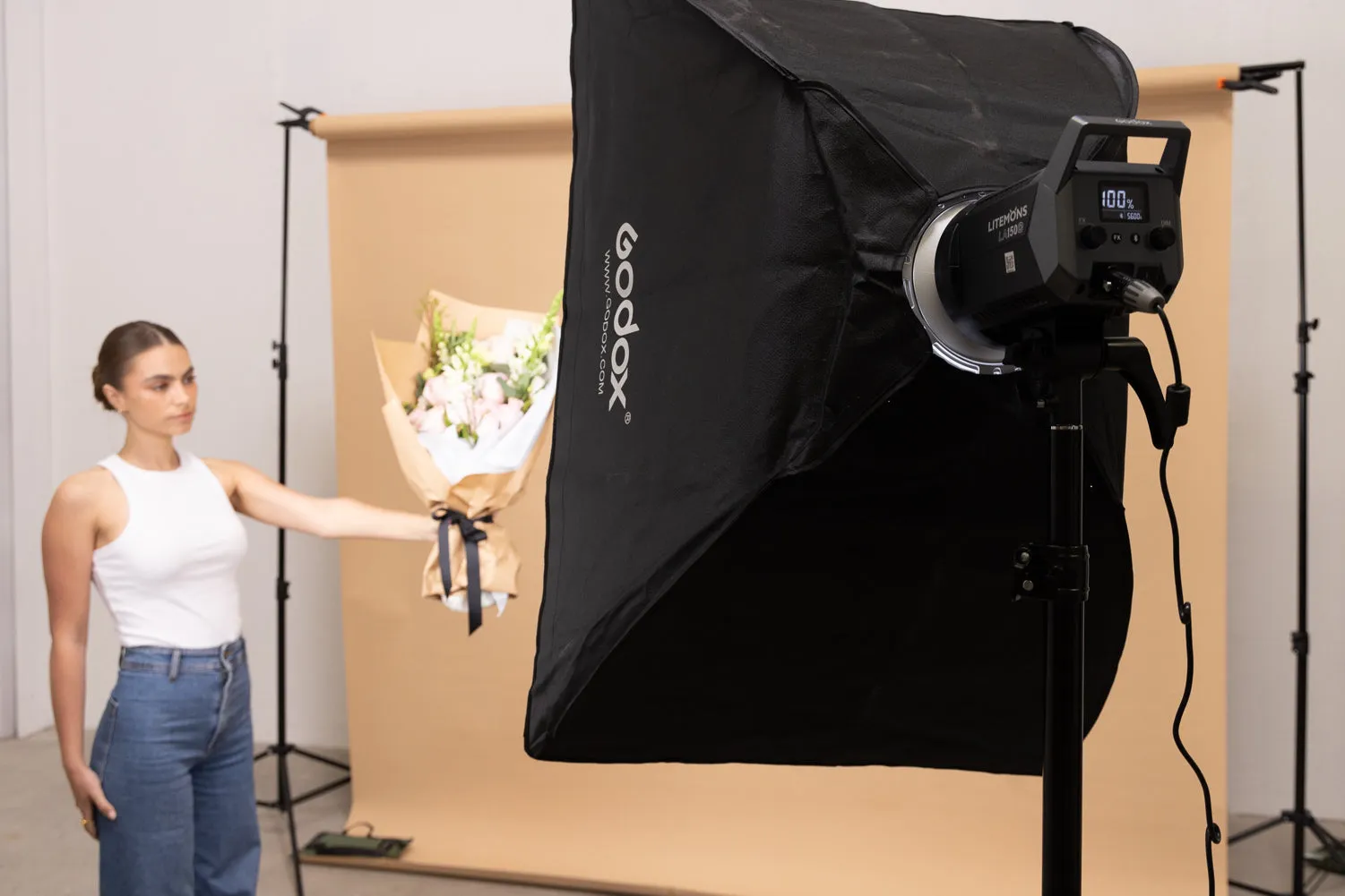 Godox Softbox with Grid 60x90cm Bowens Mount for Studio Strobe Flash Lighting