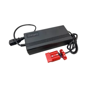 Jungheinrich Ameise Battery Charger 48V 6A 51689473