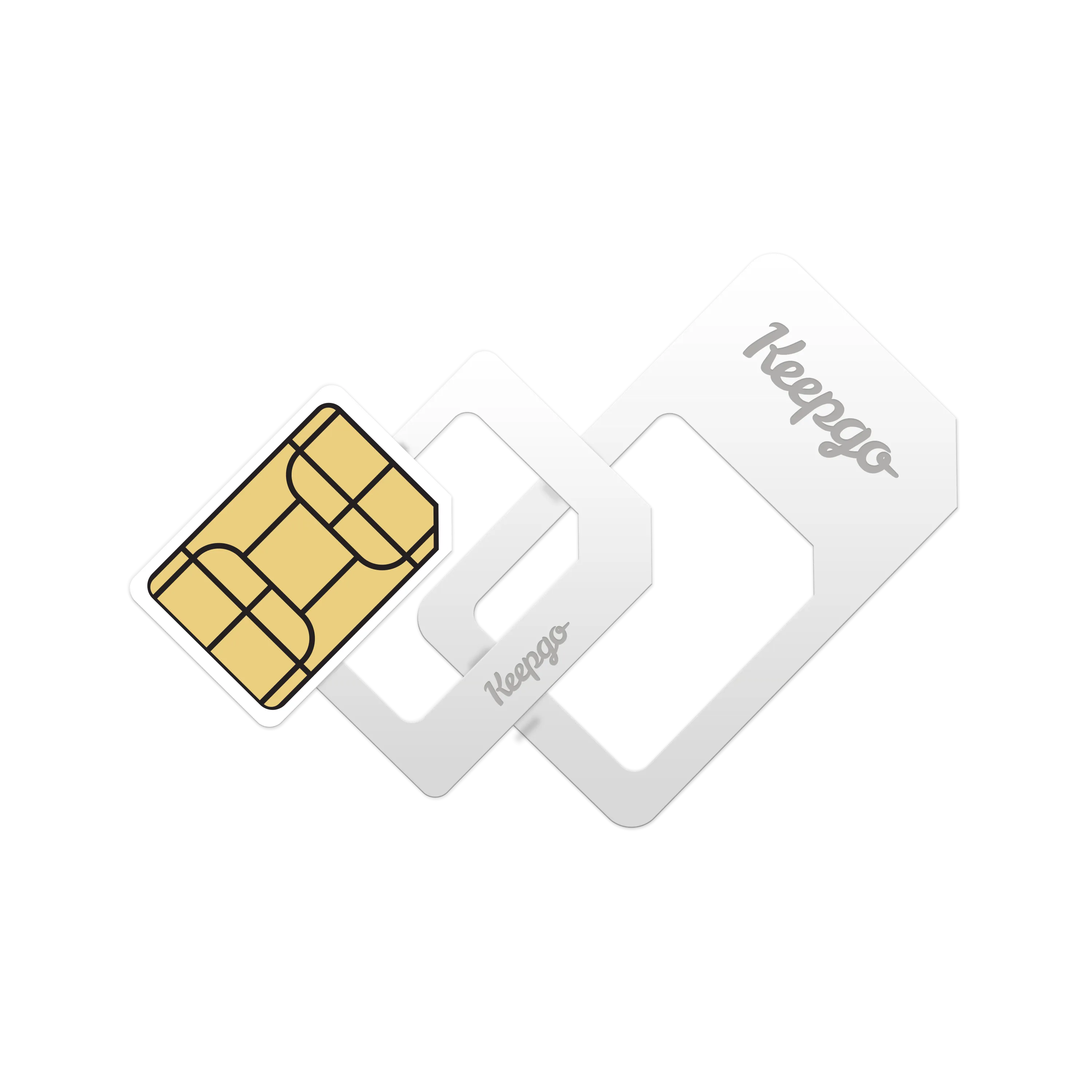 Lifetime World SIM Card