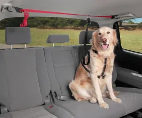 PupZip Vehicle Zipline