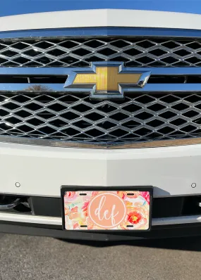 Style F License Plate